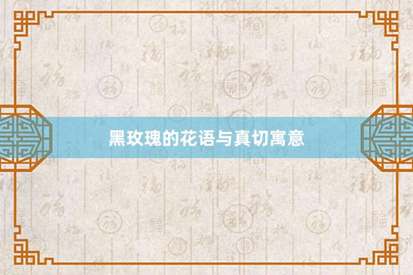 黑玫瑰的花语与真切寓意